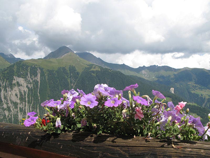 hochschober